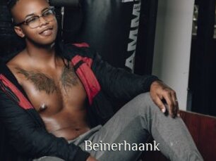 Beinerhaank