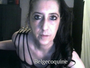 Belgecoquine