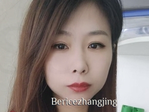 Bericezhangjing