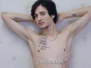 Bernicute