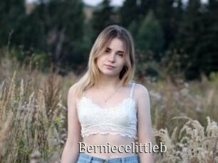 Berniecelittleb