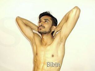 Bibin