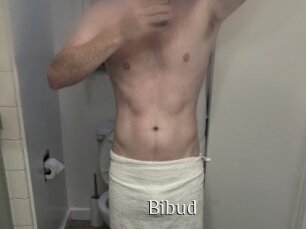 Bibud