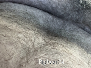 Bigbear24