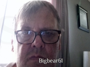 Bigbear61