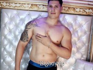 Bigboyvip