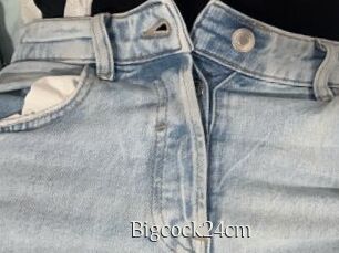 Bigcock24cm