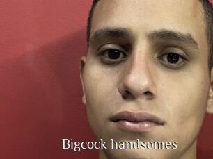 Bigcock_handsomes