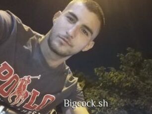 Bigcock_sh