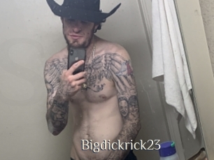 Bigdickrick23