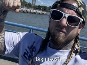 bigmikesfit Shop coquin