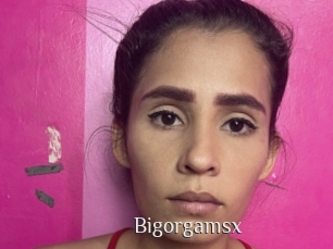 Bigorgamsx
