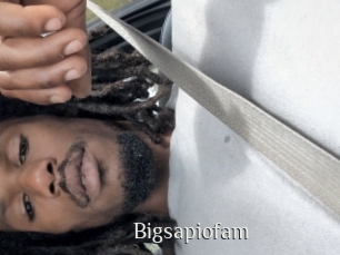 Bigsapiofam