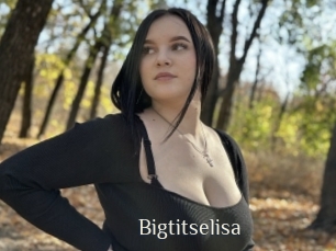 Bigtitselisa