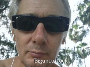 Biguncutcock