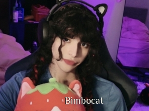 Bimbocat