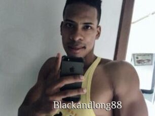 Blackandlong88