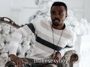 Blakesexyboy