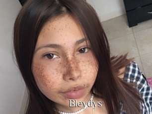 Bleydys