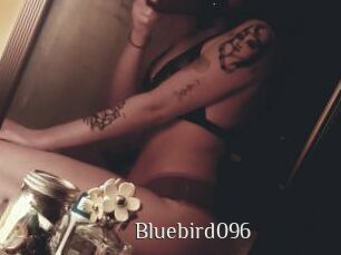 Bluebird096