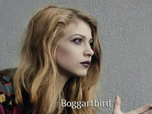 Boggartbird