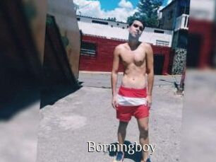 Borningboy