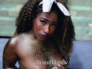 Brandiibrow