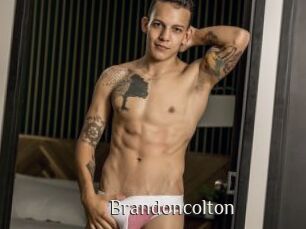 brandoncolton Shop coquin