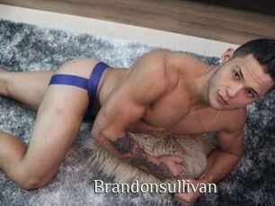 Brandonsullivan