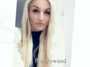 Brandyweed