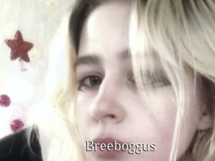 Breeboggus