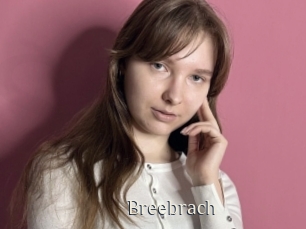 Breebrach