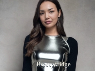 Breeestridge