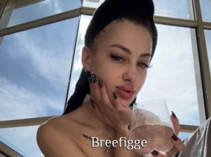 Breefigge