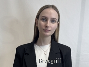 Breegriff