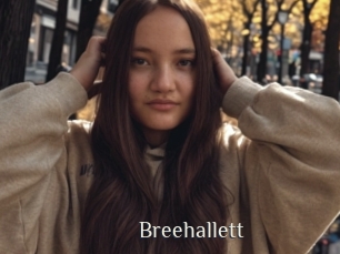 Breehallett