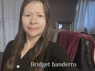 Bridget_banderro