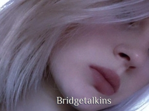 Bridgetalkins