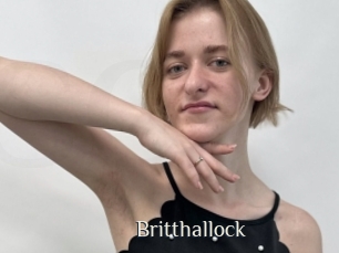 Britthallock