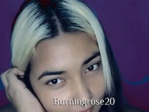 Burningrose20