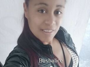 Bushalice