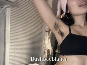 Bushbaeblanca