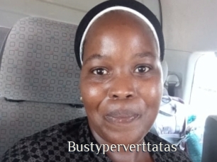 Bustyperverttatas