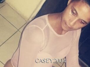 CASEY2004