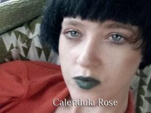 Calendula_Rose