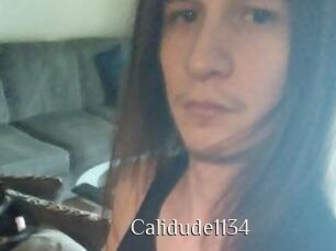 Calidude1134