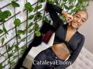 CataleyaEbony