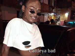 Cattleya_bad