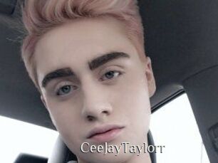 CeeJayTaylorr
