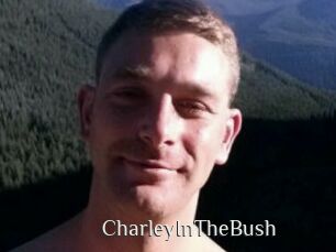 CharleyInTheBush
